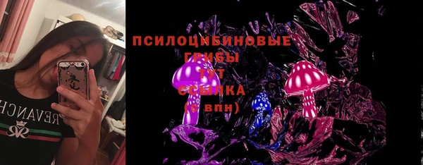 сатива Балахна