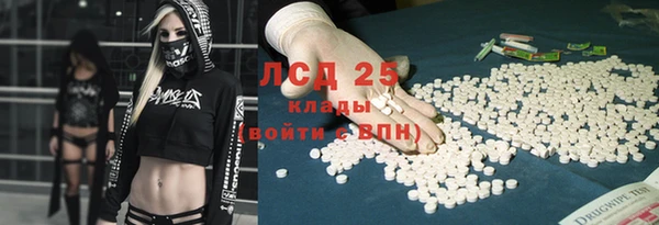 крисы Баксан