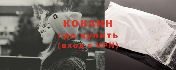 крисы Баксан