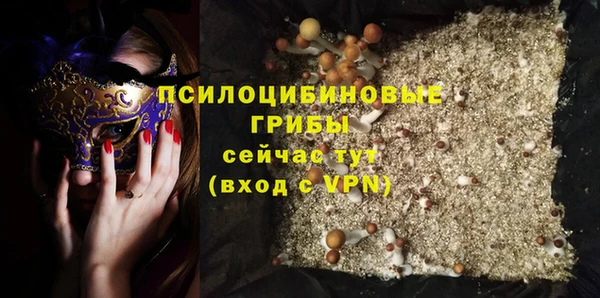 сатива Балахна