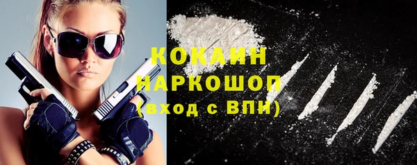 сатива Балахна
